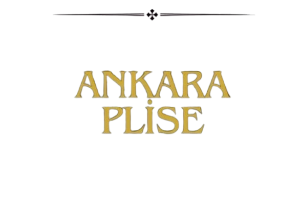 Ankara Plise Logo
